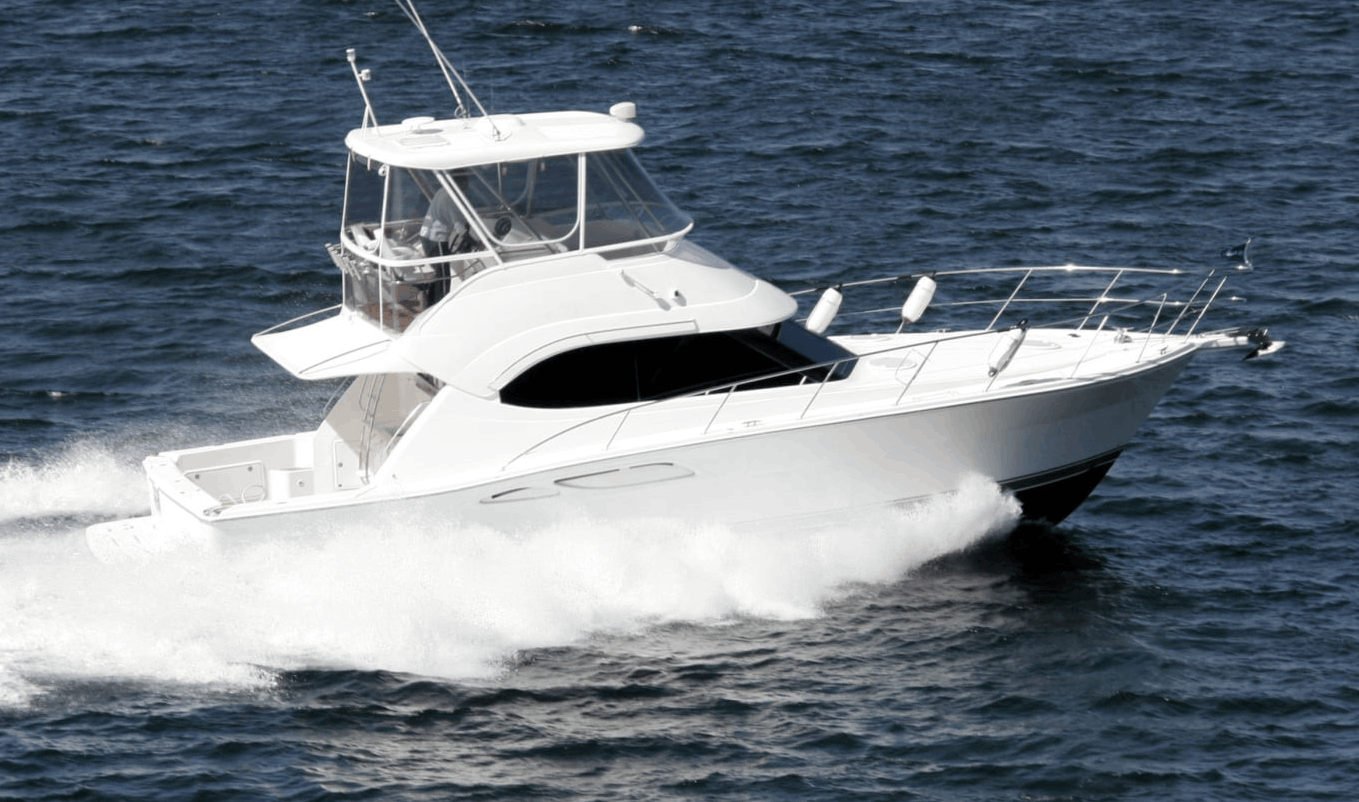 Al Amedacanvas in Alameda, CA - photo 1